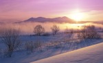 ????  (Snowy dawn landscape near Hokkaido, Japan)